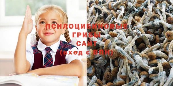 амф Богданович