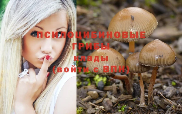 соль курить ск Богородицк