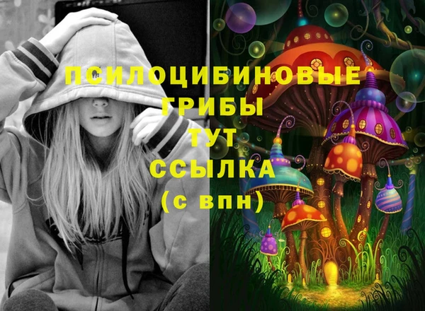 спиды Белоозёрский