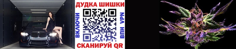 купить наркотики цена  Рузаевка  Конопля сатива 